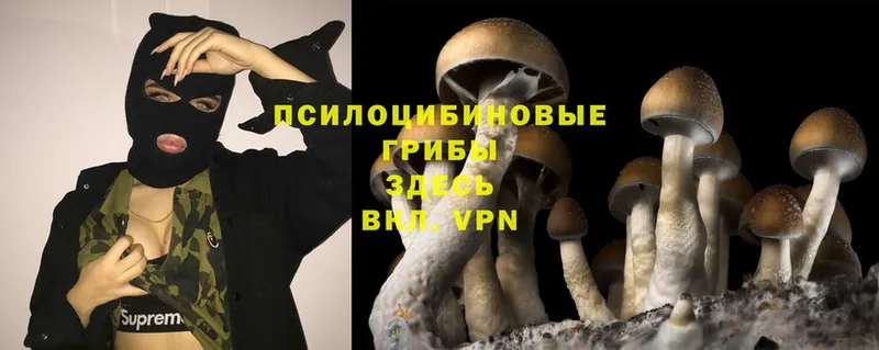 Псилоцибиновые грибы MAGIC MUSHROOMS Абаза